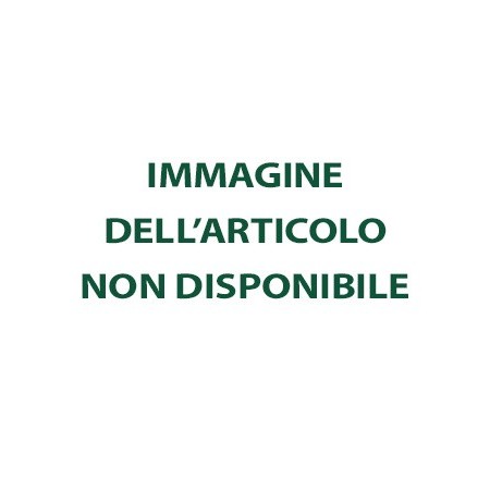 Dr. Reckeweg R10 Medicinale Omeopatico 100 Compresse Orodispersibili