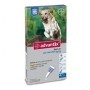 Advantix Spot-On Cani Oltre 25 Kg fino a 40 kg 4 Pipette Monodose