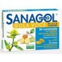 Sanagol Gola Voce Gola Voce Erisimo Caramelle Balsamiche Miele E Limone 24 Pezzi